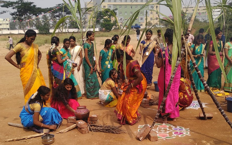 Pongal Celebration